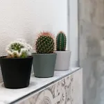 Beatrice - Residenze Estensi Modena