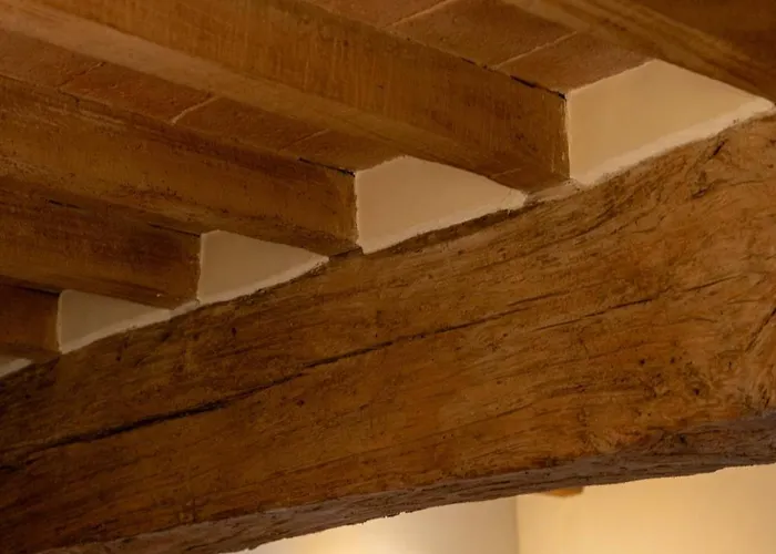 Beatrice - Residenze Estensi *