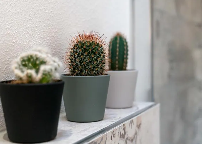 Beatrice - Residenze Estensi Modena